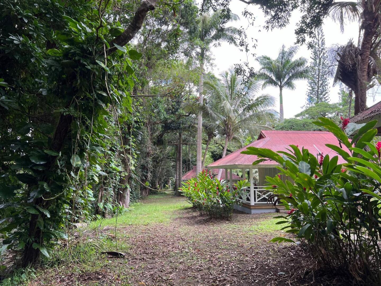 Evasion Bungalow Tropical Spa Sarramea Экстерьер фото